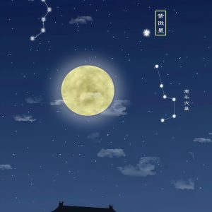 紫微斗数【流年】